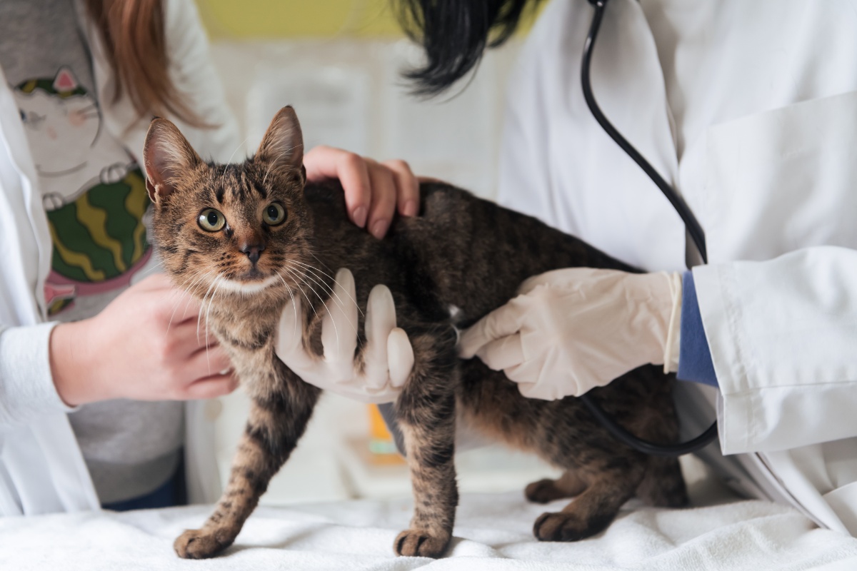 AdobeStock_490351249