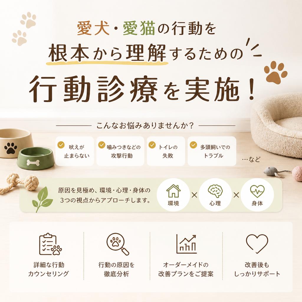愛犬・愛猫の行動を根本から理解するための行動診療を実施！