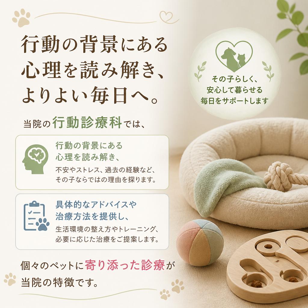 犬猫の行動診療科の特色