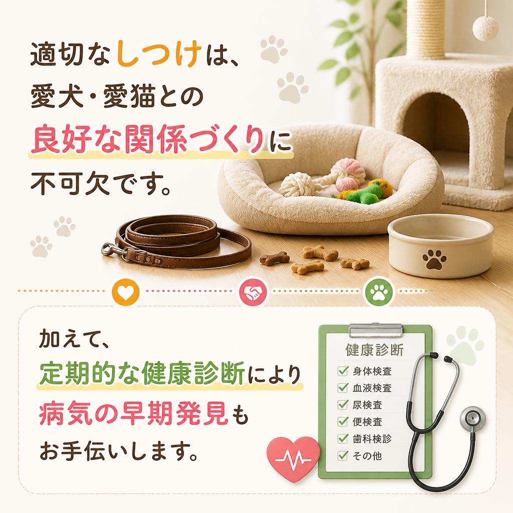 しつけ方法と健康診断