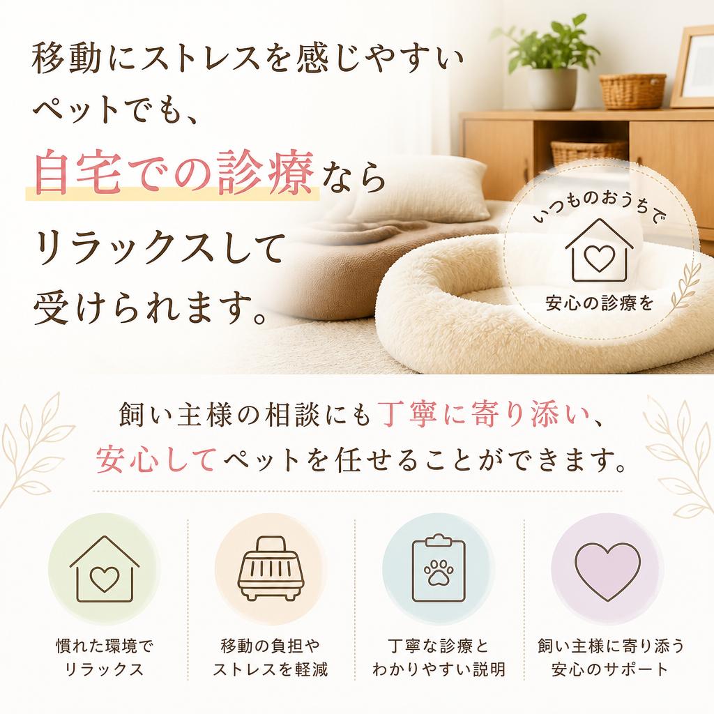 訪問診療で安心のペットケア