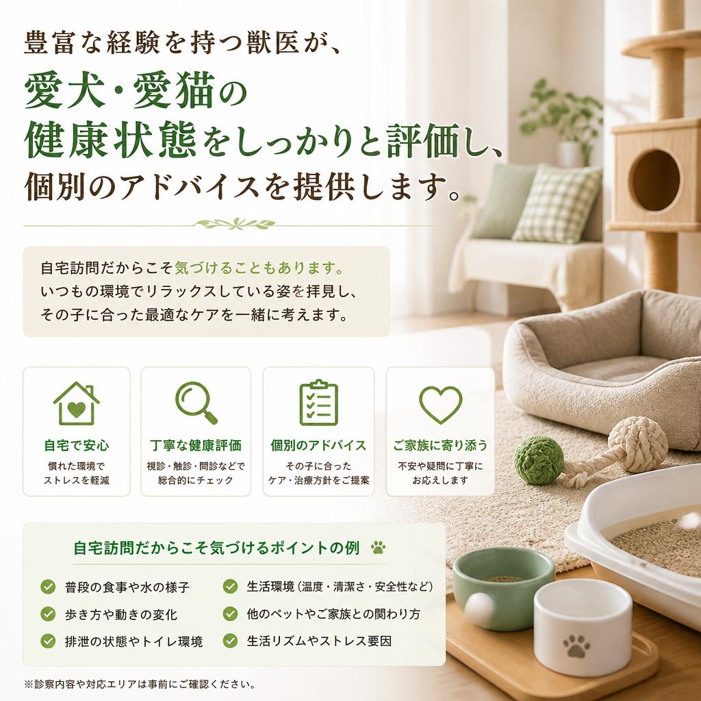 専門の獣医による的確な診断