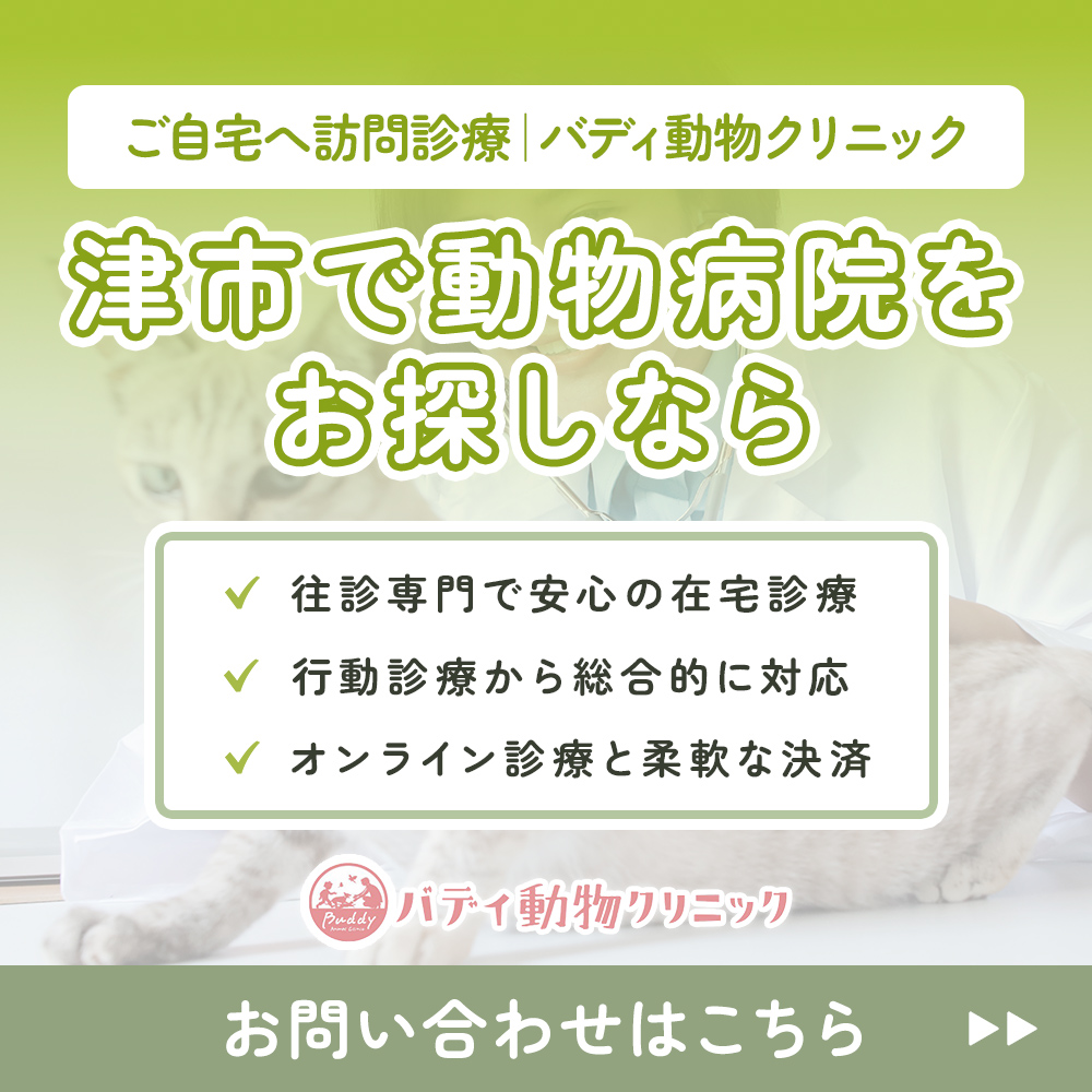 modal_banner